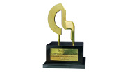 Leadership Excellence Awards 2017 anand and anand professional excellence