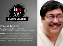 IAM Strategy 300 Global Leaders