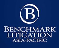 Benchmark Litigation