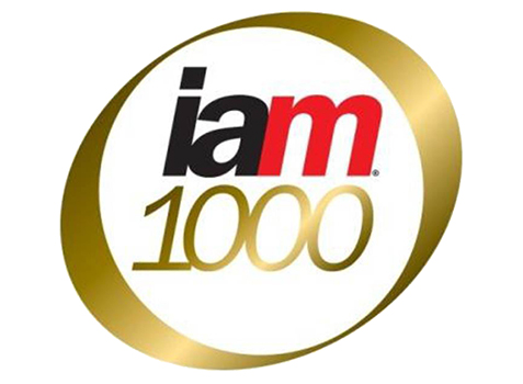 IAM Patent 1000